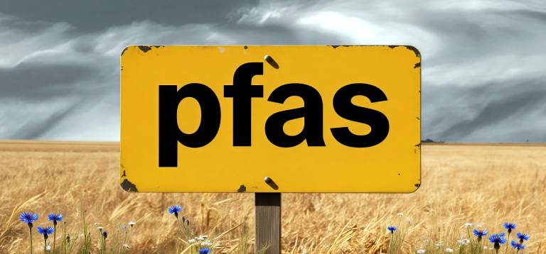 Pfas dove si trovano